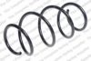 ROC CS8228 Coil Spring